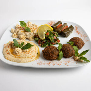 VEGETARIAN COMBO PLATE(APPETIZER)